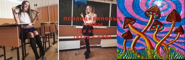 не бодяженный Абдулино
