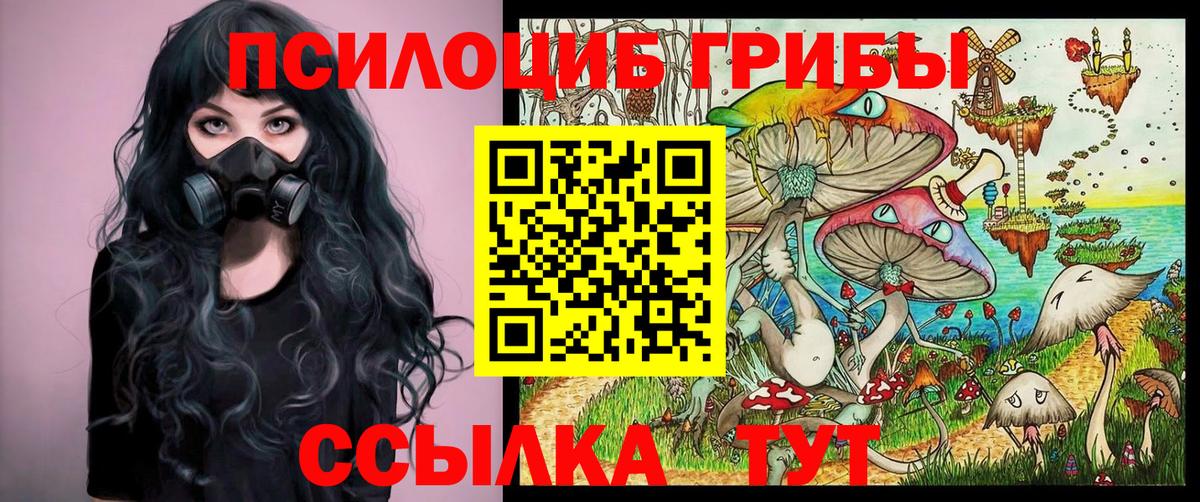 Псилоцибиновые грибы MAGIC MUSHROOMS  Вход с VPN  Псилоцибиновые грибы MAGIC MUSHROOMS  где купить   Тюмень 